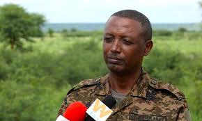 “America indirectly at war” with Ethiopia: Col. Demeke